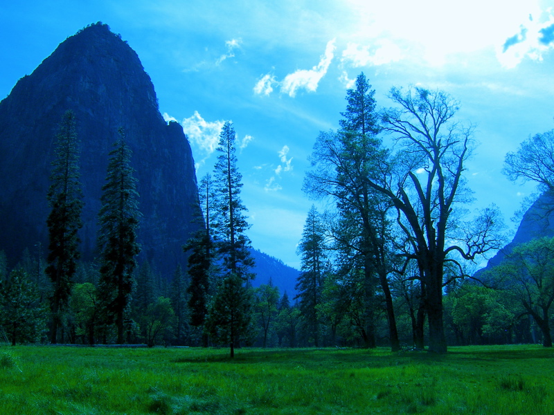 yosemite-meadow.jpg