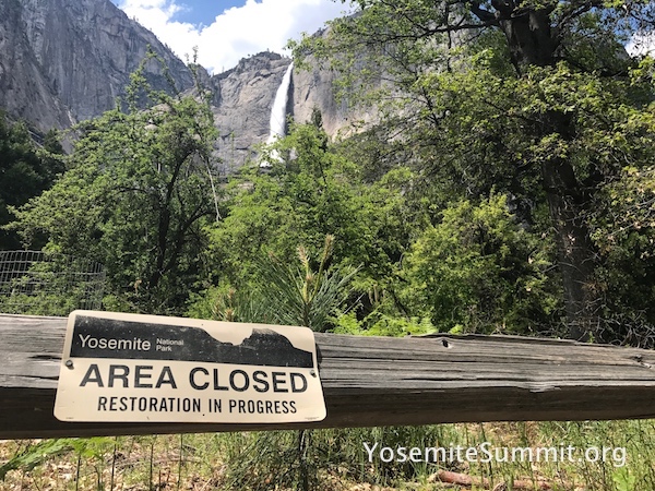 YosemiteSummit2017 - 72_ys